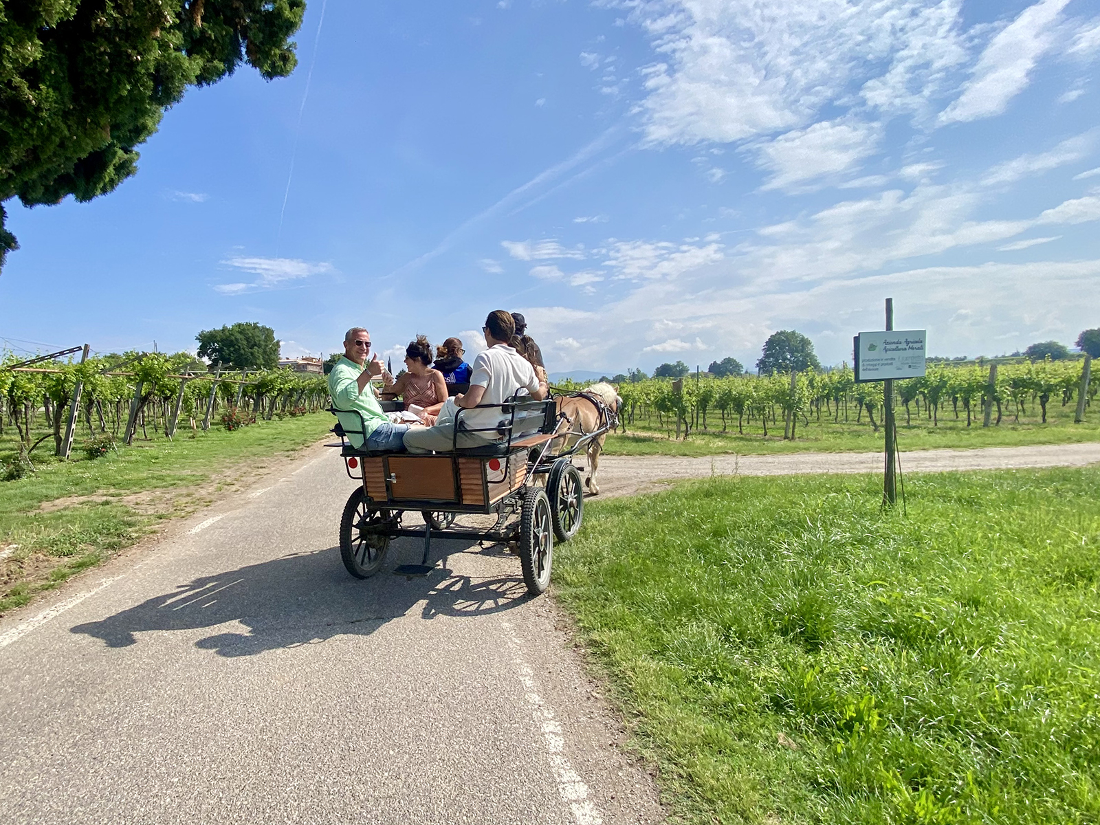 Horse Carriage Tour in Lazise: Romantic Lake Garda Experience - Photo 10