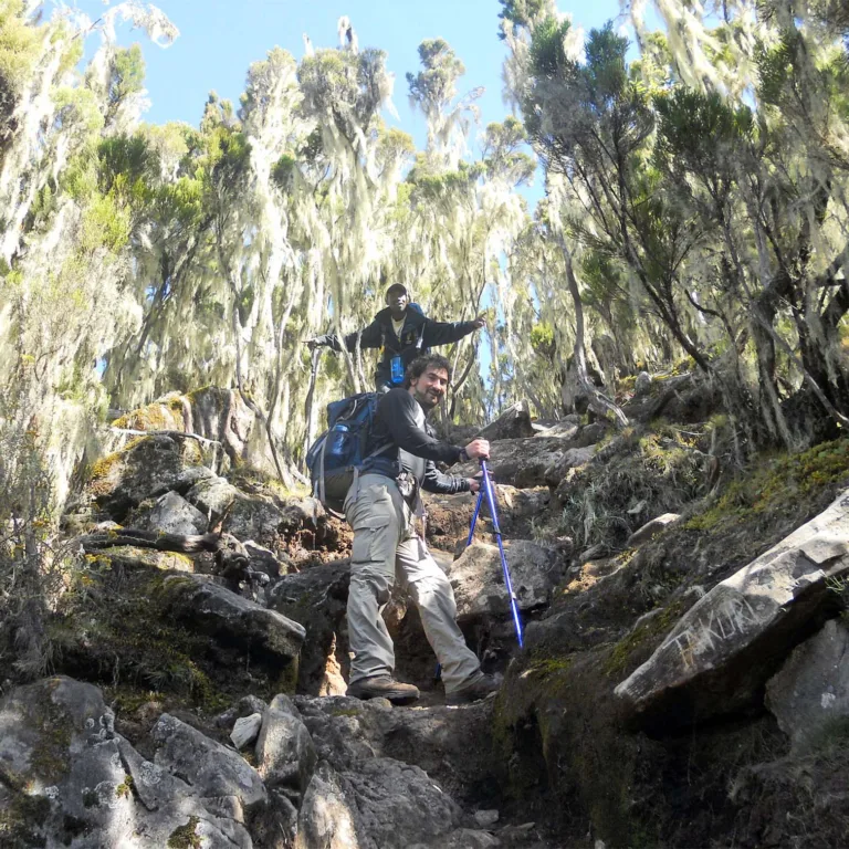 Moir Camp to Barranco Camp via Lava Tower 1