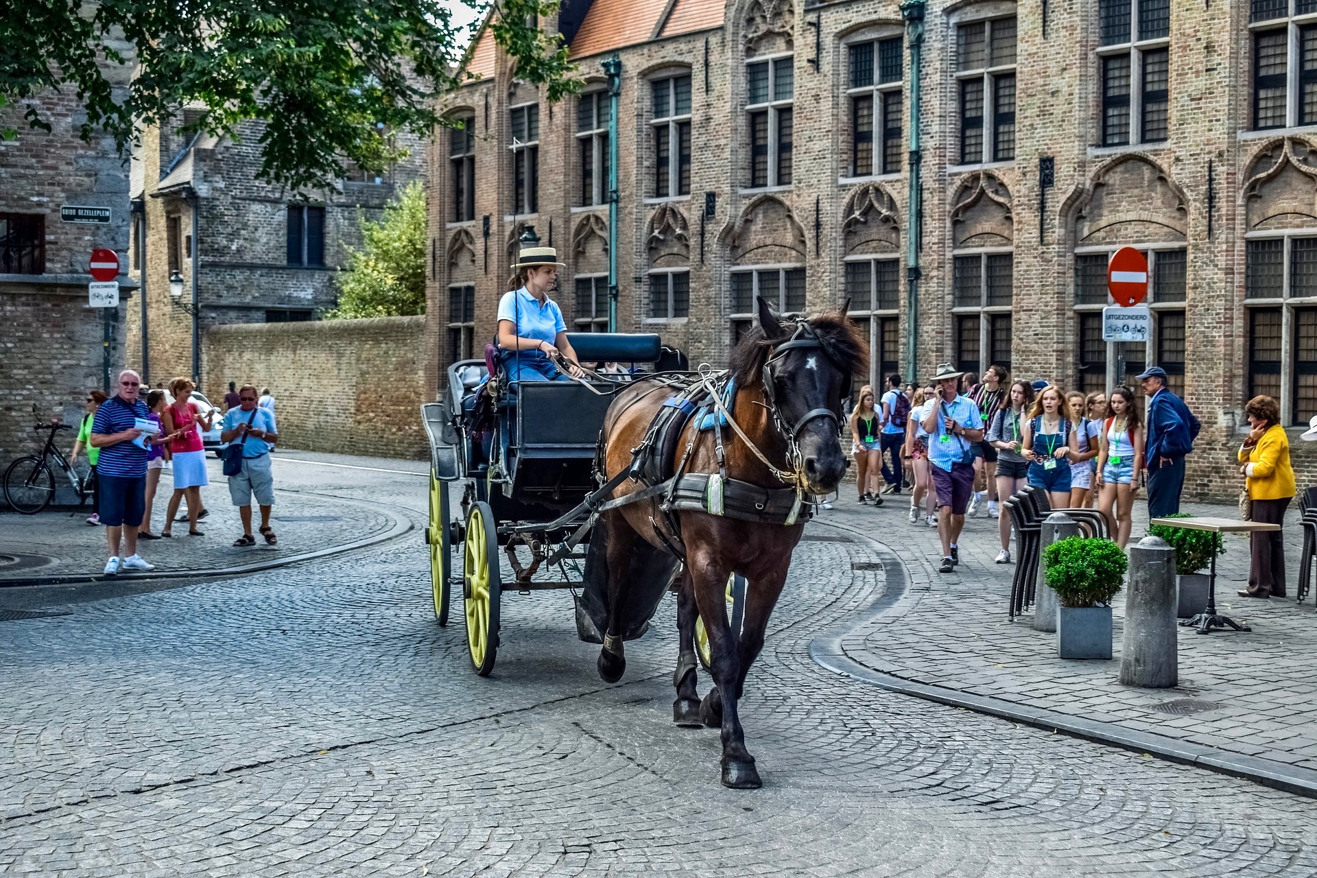 7-Day Belgium-Netherlands Small-group Trip by Minivan, 11 Excursions included - Photo 21