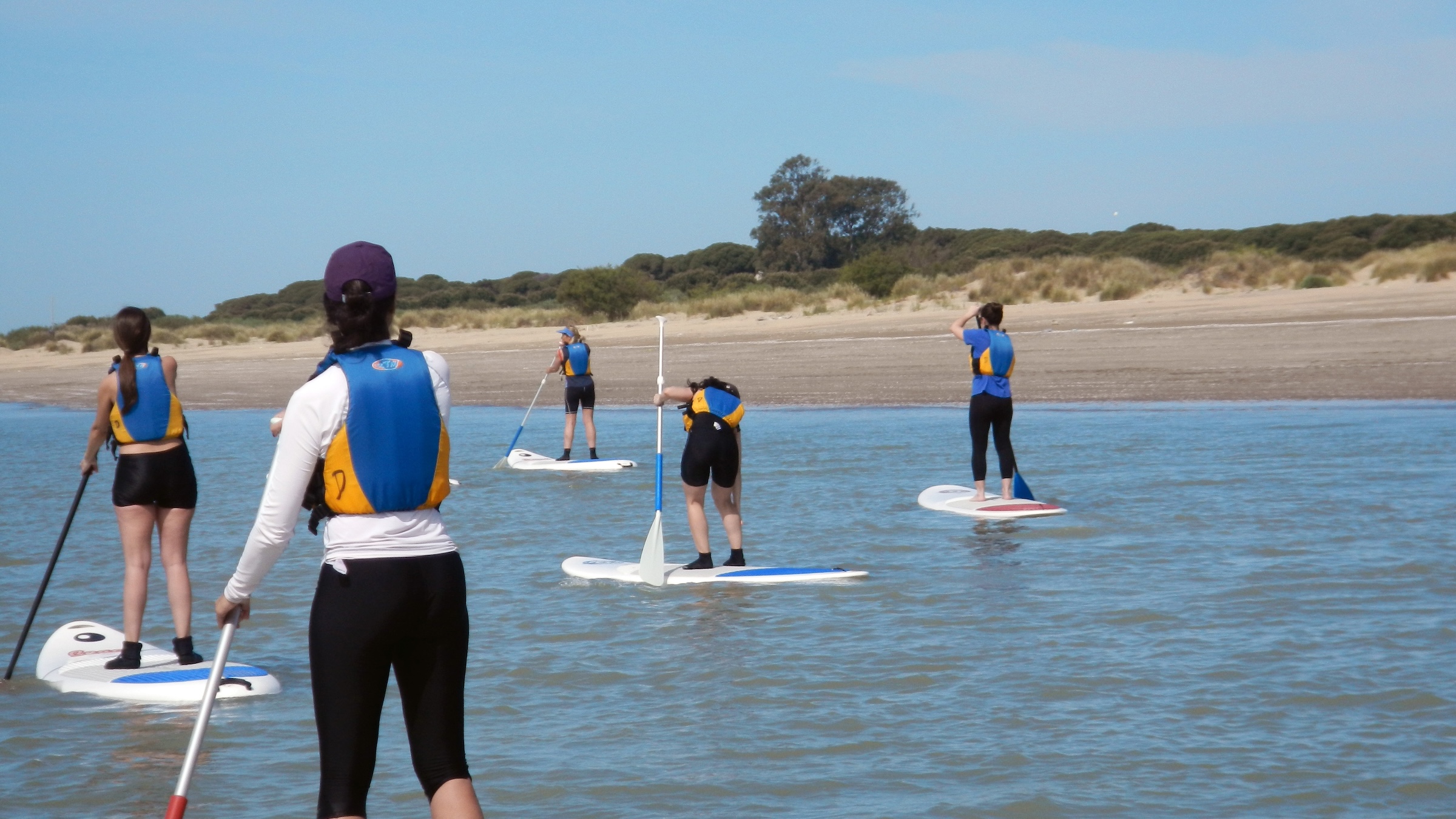 Ruta en paddle surf por el entorno del Parque Nacional de Doñana, salidas desde Sanlúcar