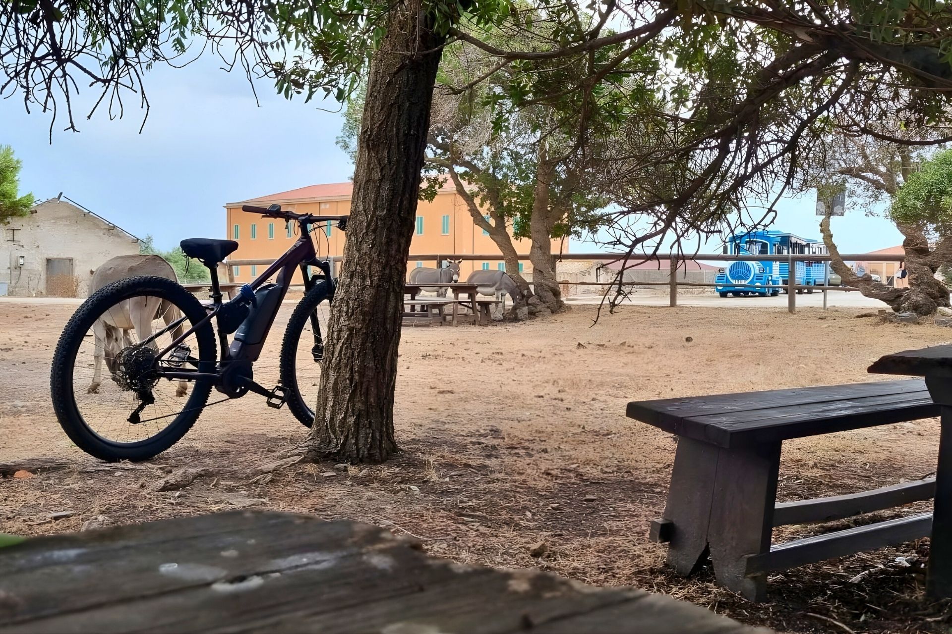 Rent an e-bike and discover Asinara from Porto Torres - Photo 12