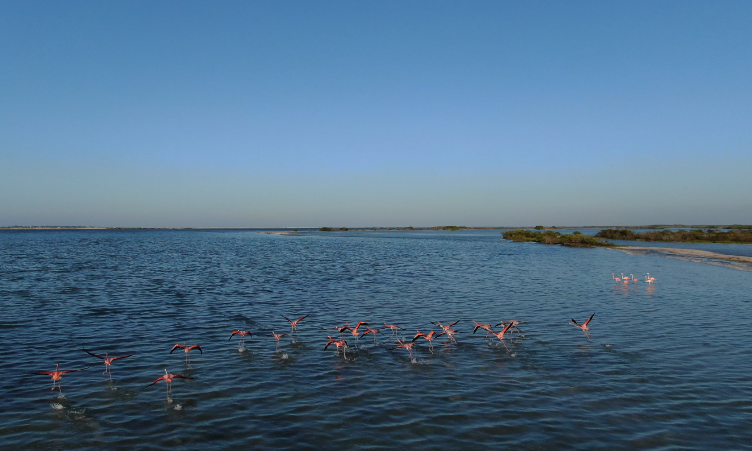 Desde Riviera: Río Lagartos y Las Coloradas — 9/16