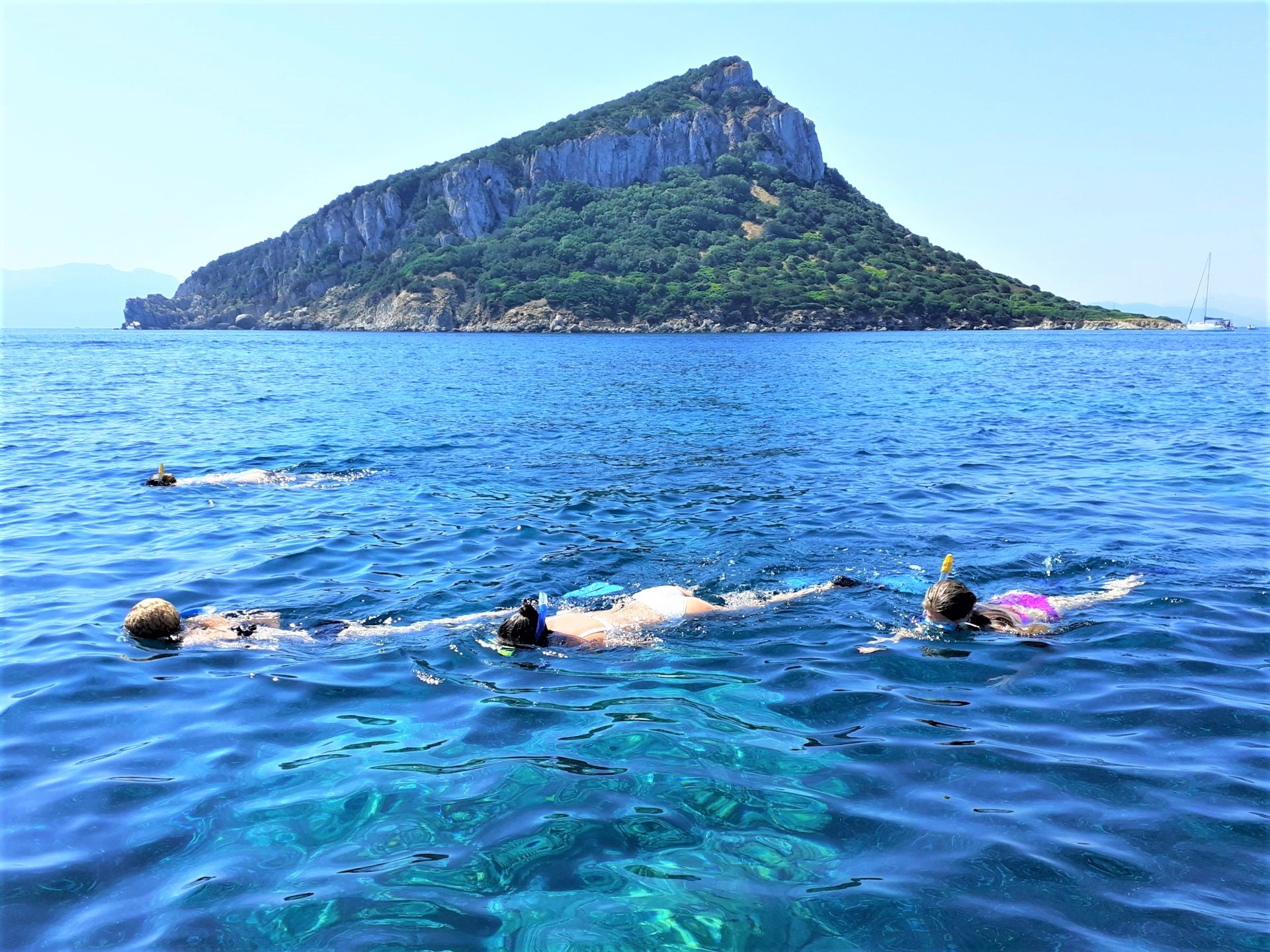From Olbia: RIB tour to Capo Figari with dolphin sighting - Photo 3