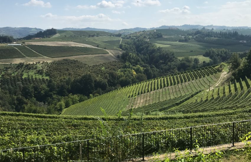 Barolo Wine Tour with Lunch from Milan  - Photo 3