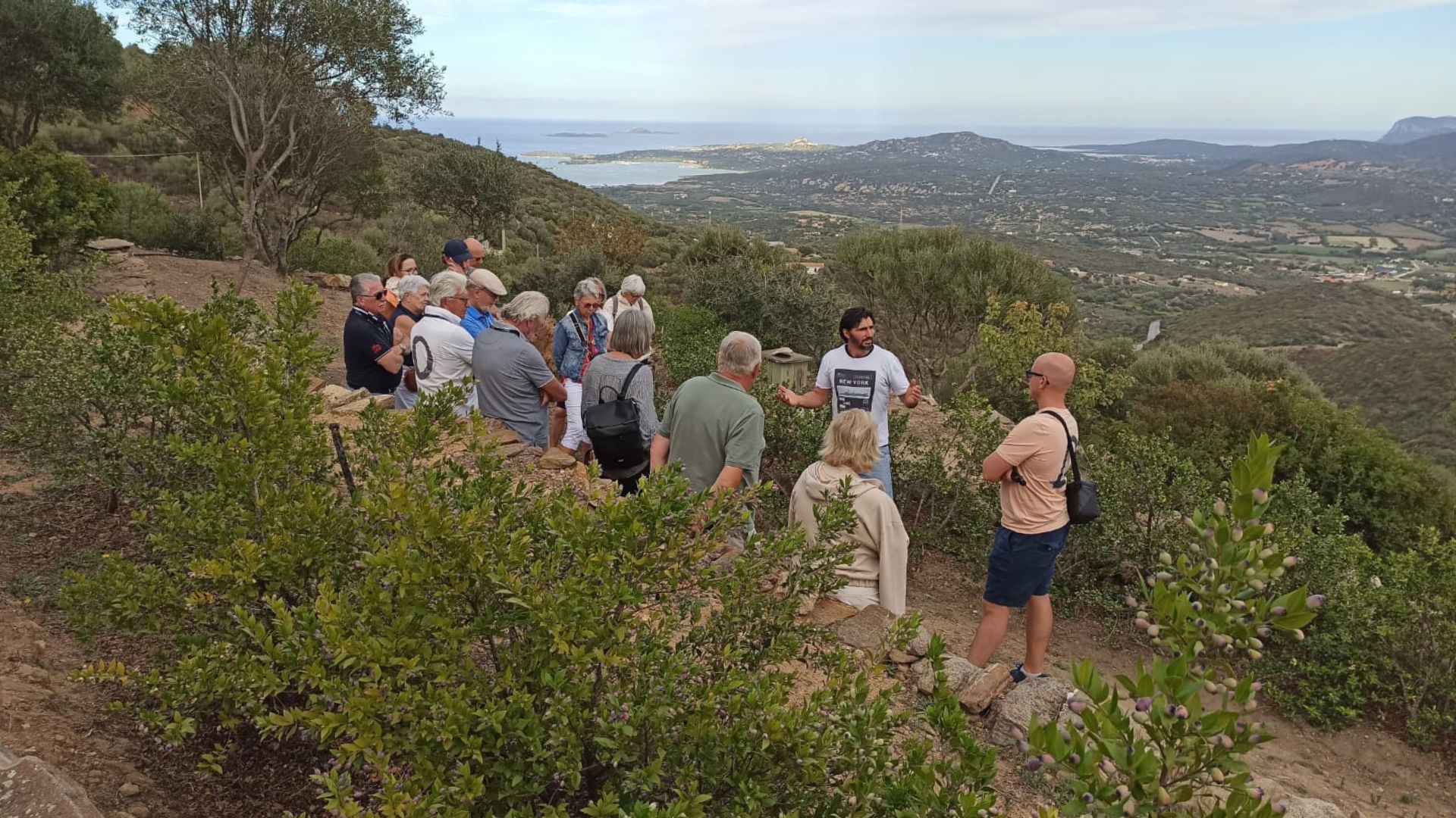 Olbia: visit a myrtle-making factory with tasting - Photo 2
