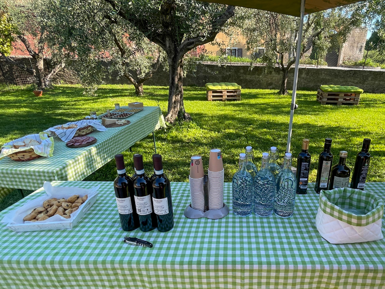 Lake Garda Olive Oil Tour and Tasting Experience - Photo 8