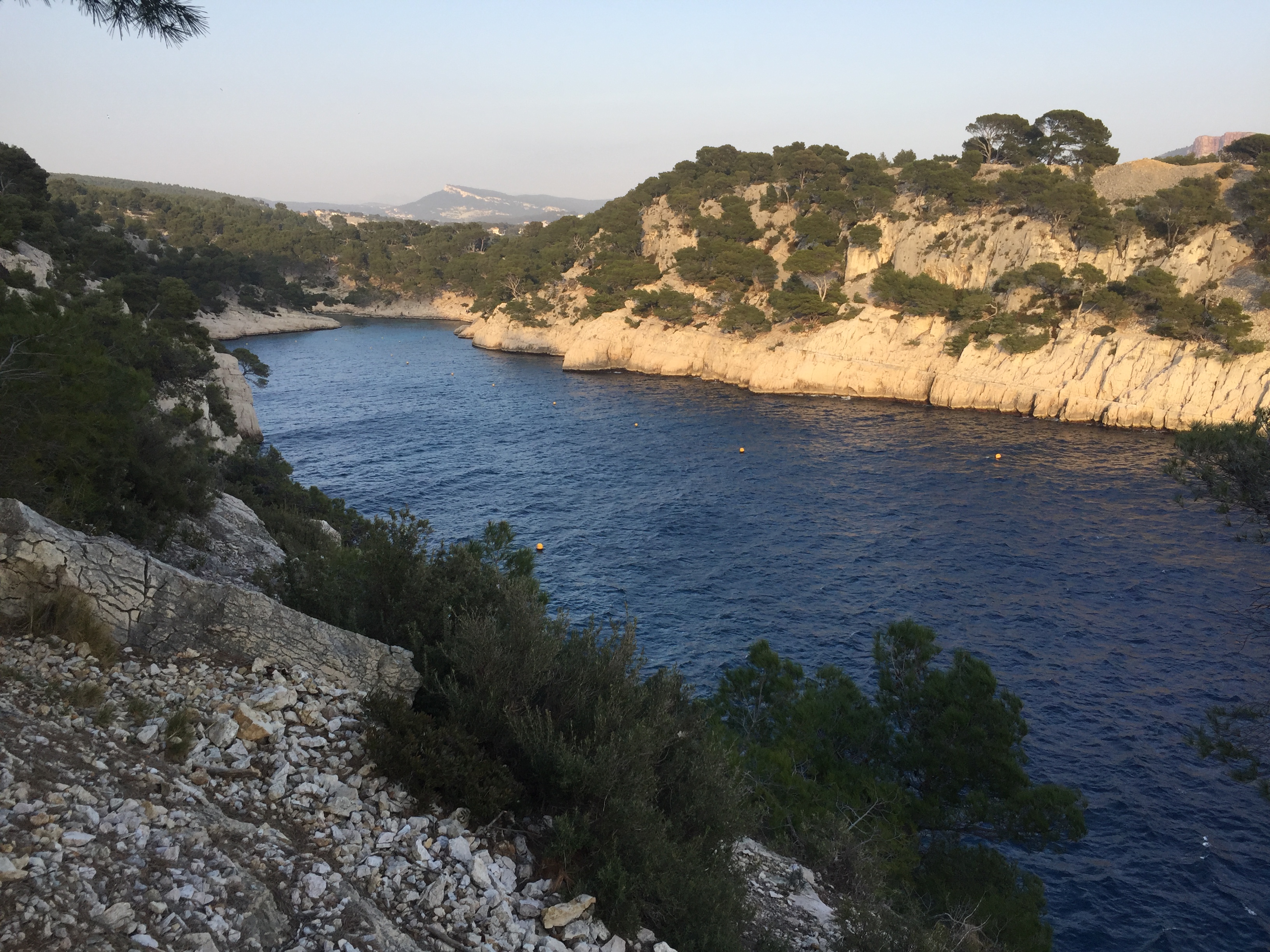Hike with a Calanque expert - Photo 3