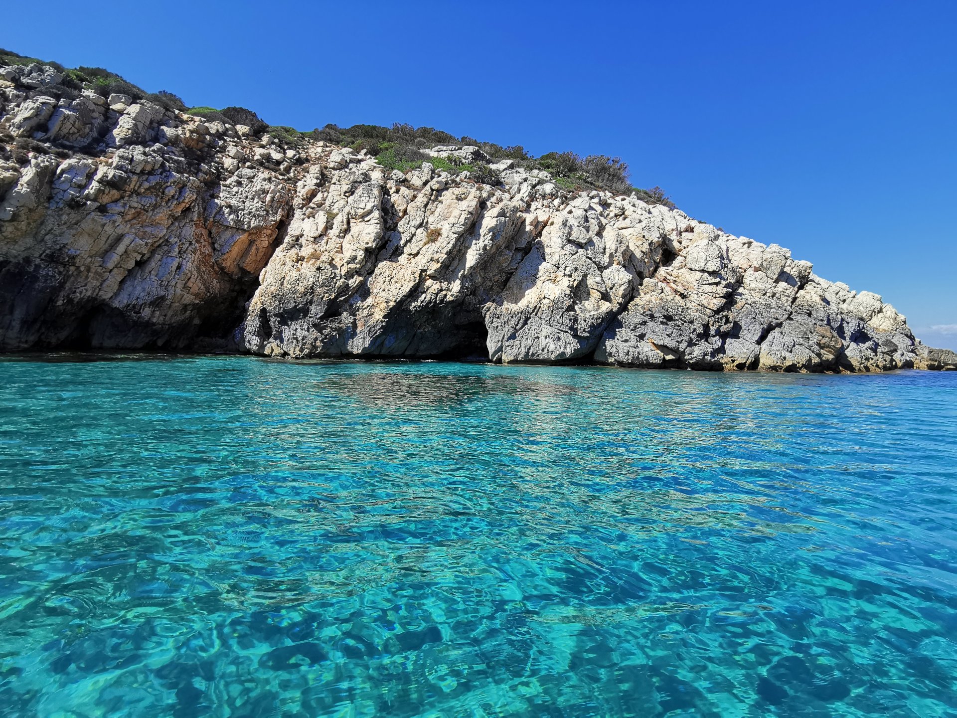 From Sant'Antioco: RIB tour to Carloforte - Photo 19