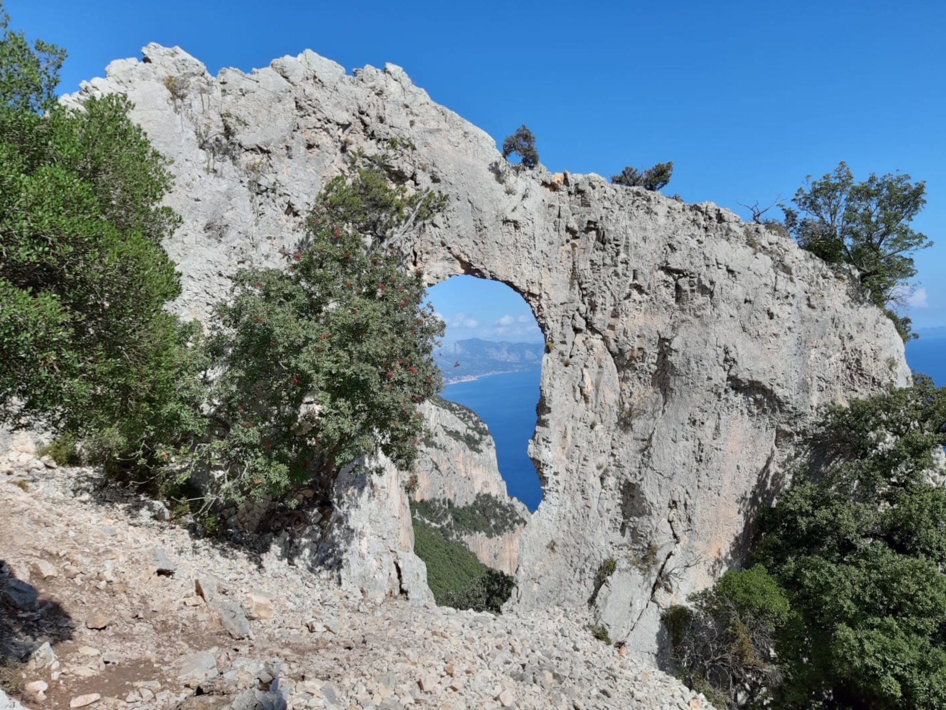 From Baunei: trekking to Cala Mariolu - Photo 10