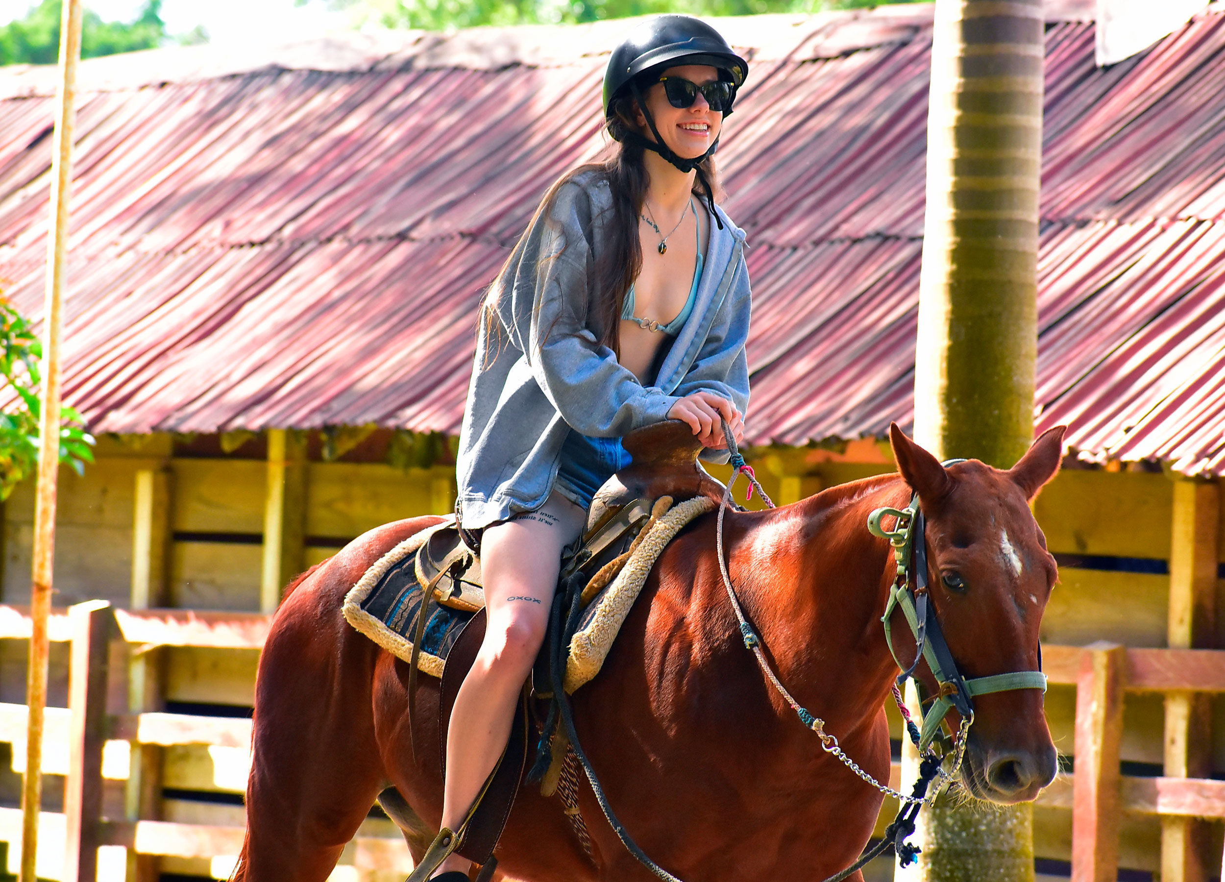 Extreme Horses Adventure con ATV compartido, tirolesas y cenote — 20/20