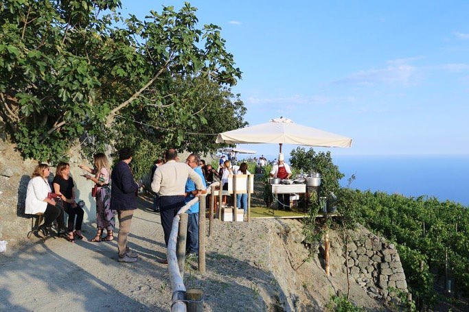 Ischia: 3 Hours Wine Tasting Experience, Vineyards & Pick-up - Photo 2