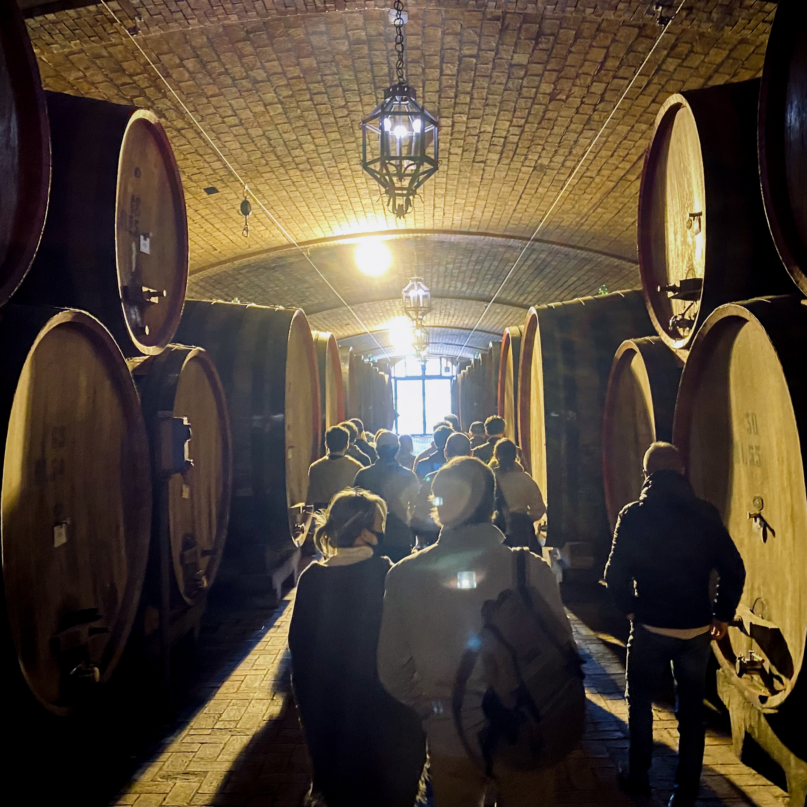 Montepulciano Wine Experience: Premium Tastings & Expert Cheese Pairings