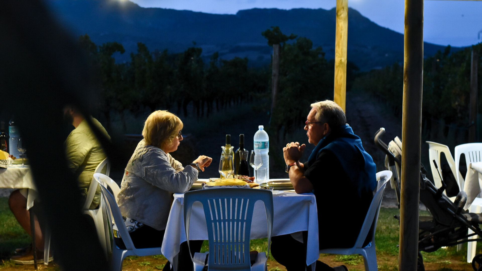 Alghero: lunch or dinner in the vineyard - Photo 5