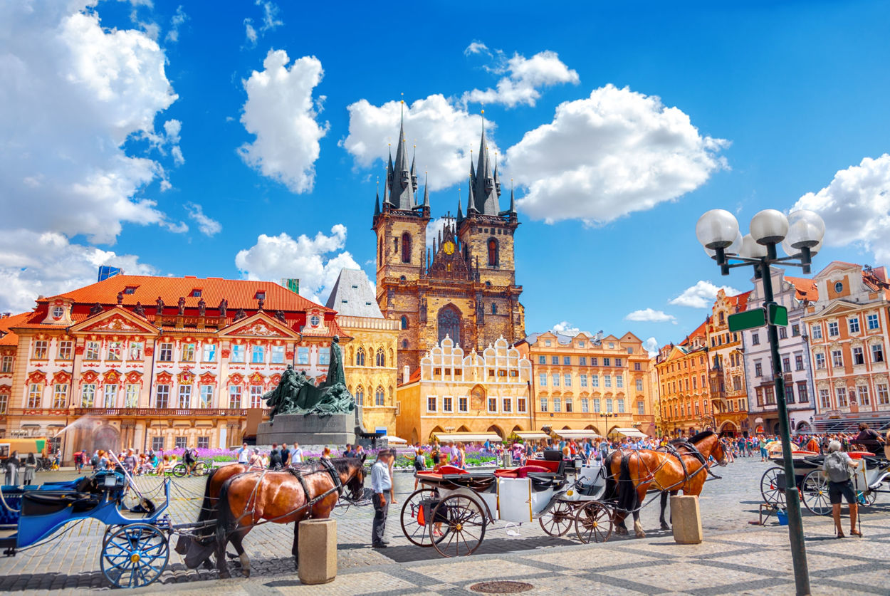 Descubriendo Praga: recorrido a pie de medio día con guía en inglés