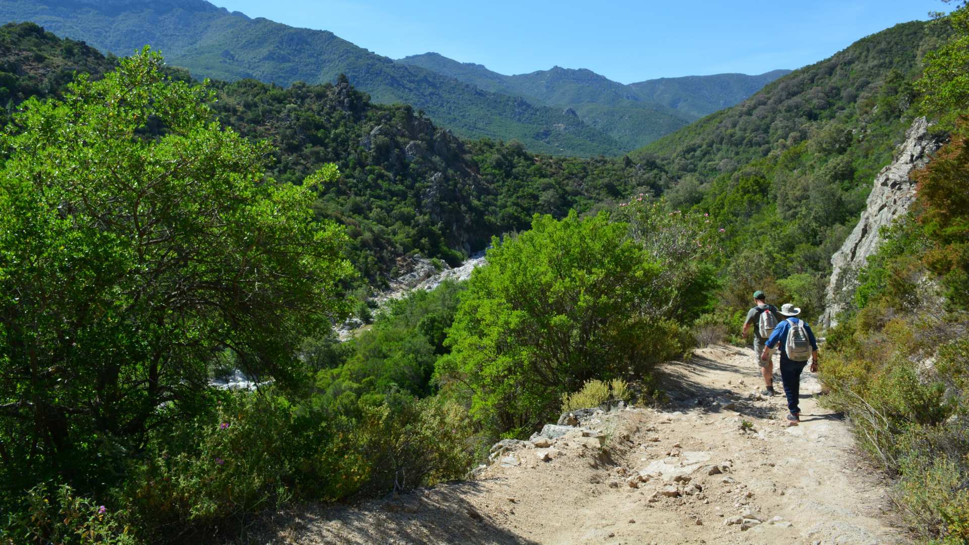 From Cala Gonone: trekking in the Gorropu canyon with transfer - Photo 3