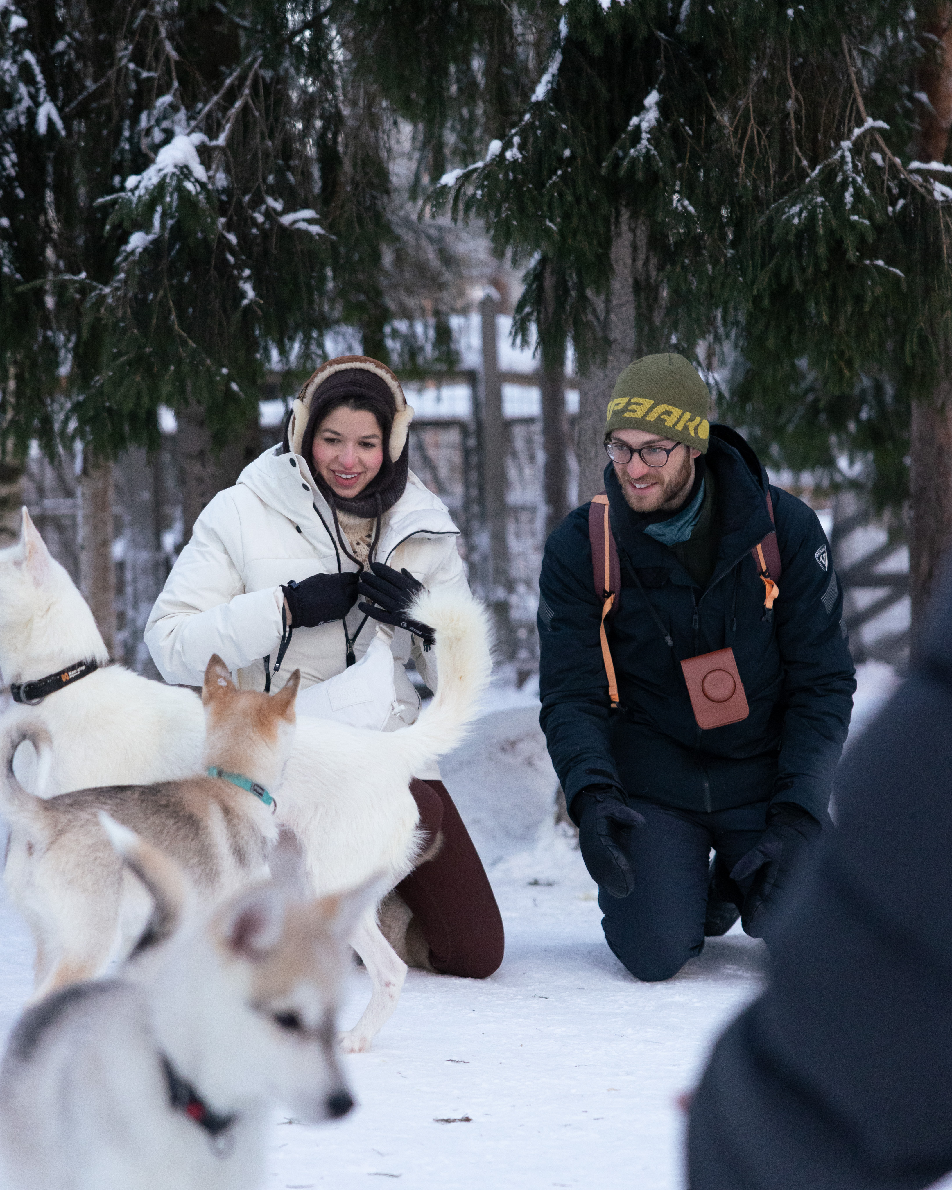 Husky Meet and Greet – Image 3 | WeShare