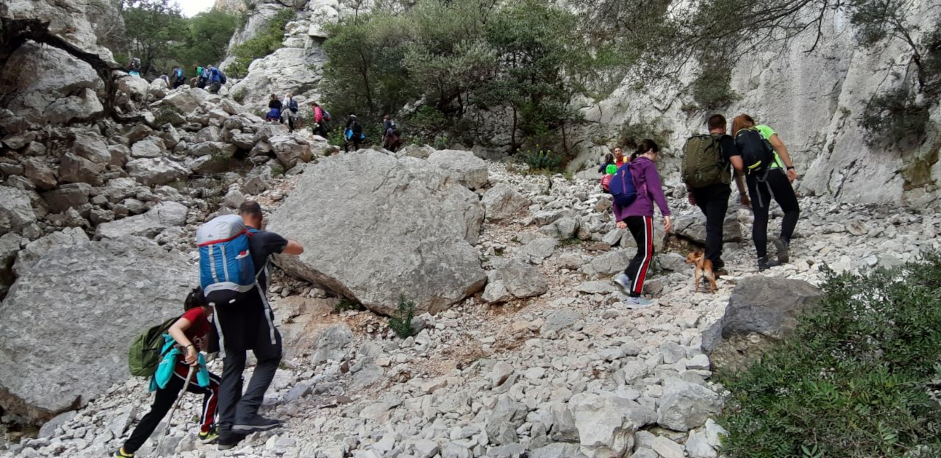 From Dorgali: trekking to Cala Luna - Photo 10