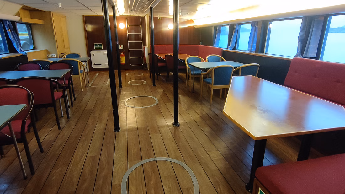 Whales & Waves: An Epic Marine Adventure Tour - photo 7