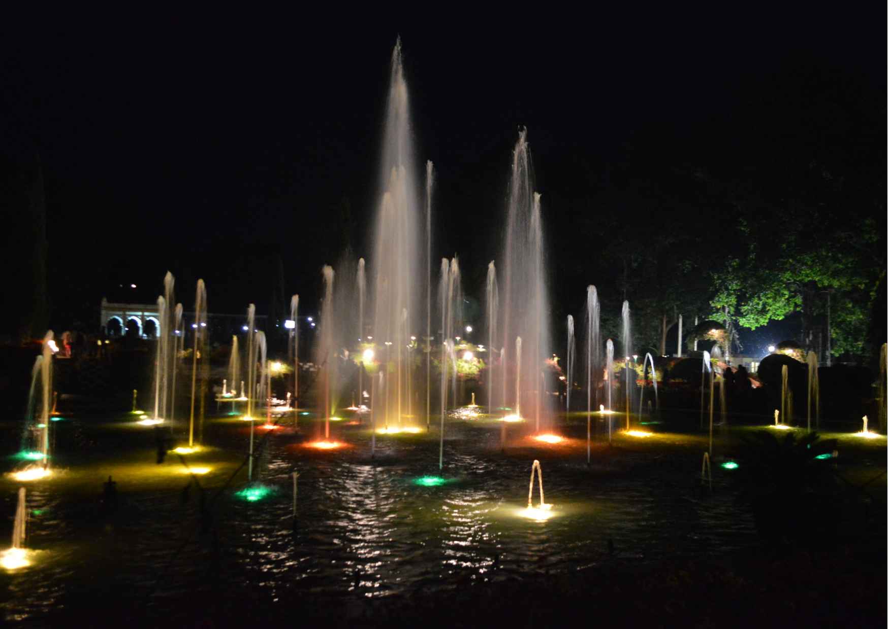 Mysore Night Walk (2 Hours Guided Walking Tour) - Photo 7
