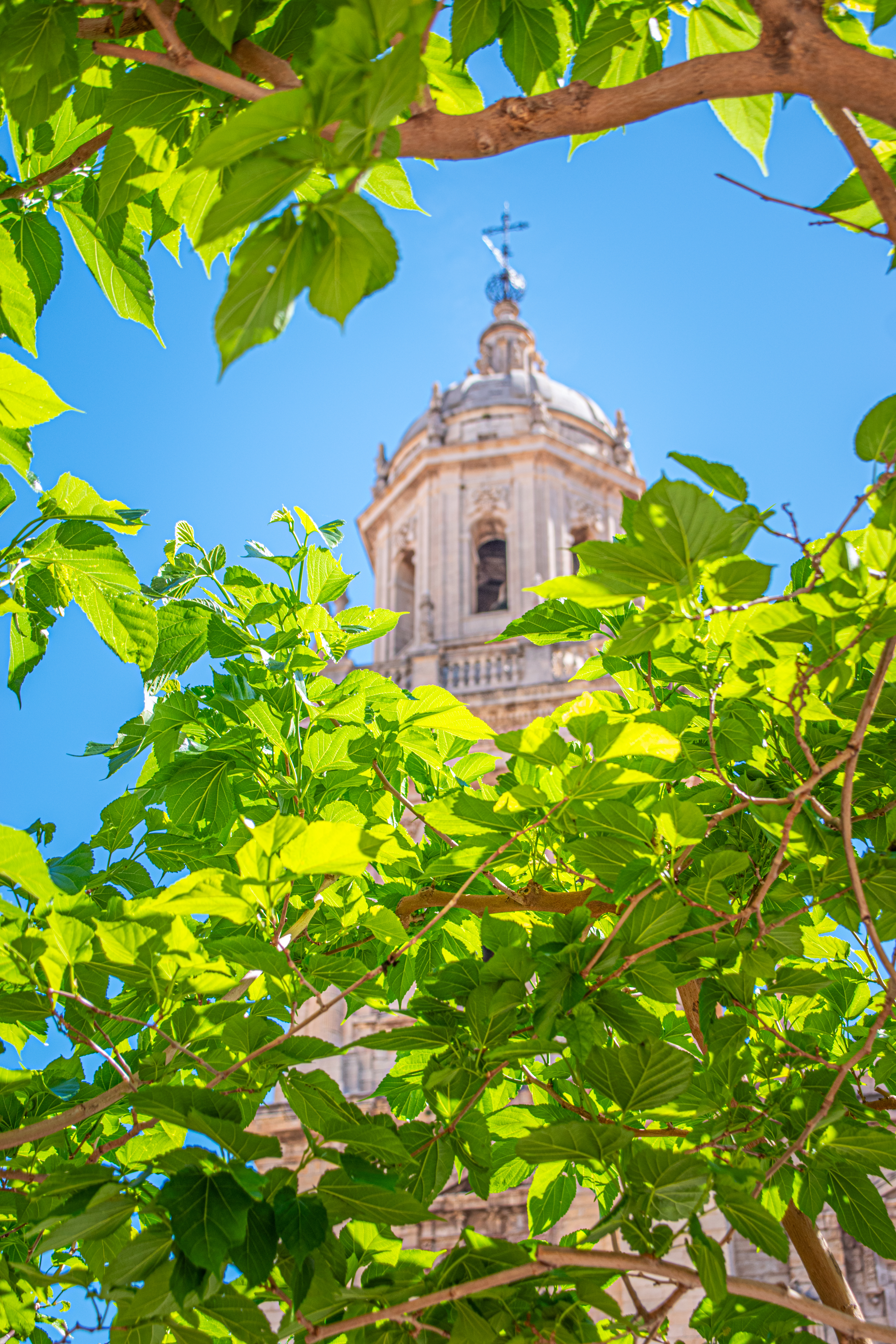 Jaen Highlights private tour - Foto 2
