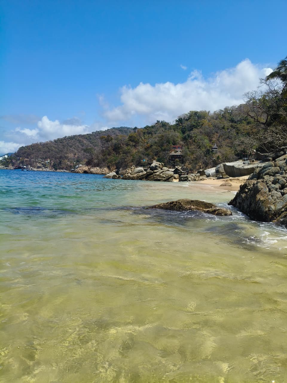 Desde Puerto Vallarta Tour Playa, Tequila y Rio — 16/18