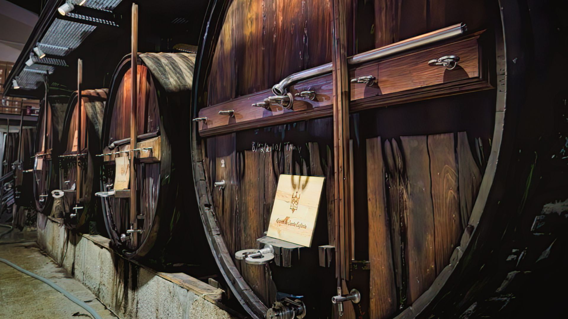 Douro Valley Small Group Tour with Wine Tastings, Lunch and River Cruise  - Photo 25