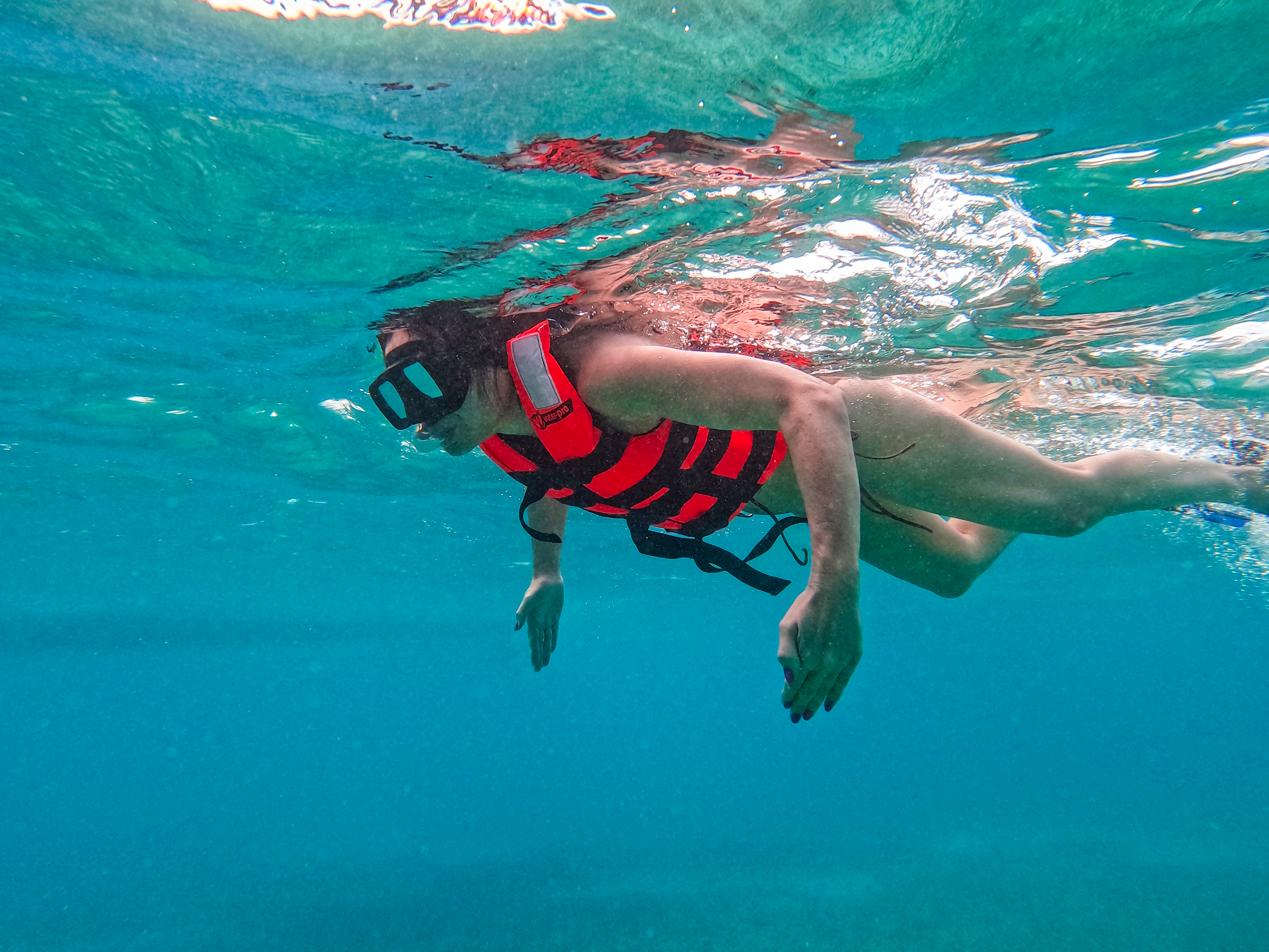 2 horas de Snorkeling en dos puntos del arrecife de Tulum — 17/78