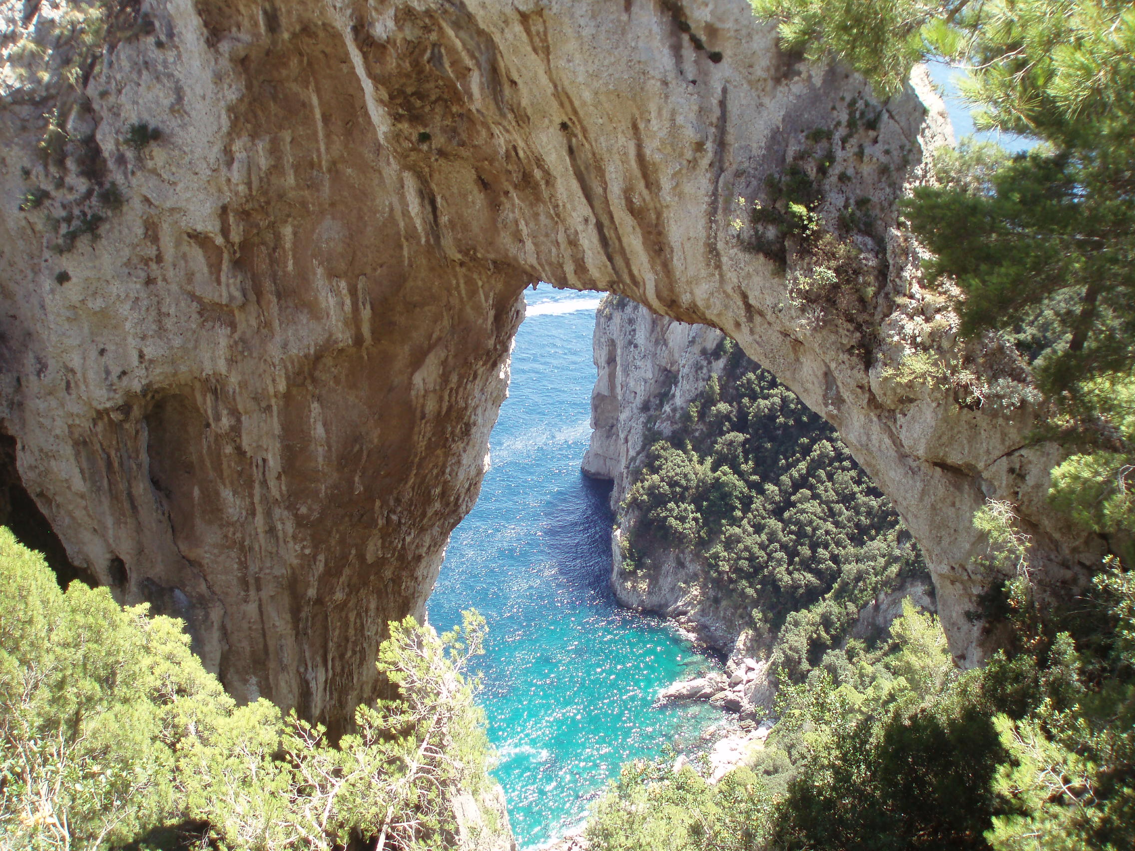Capri daily tour - Photo 6