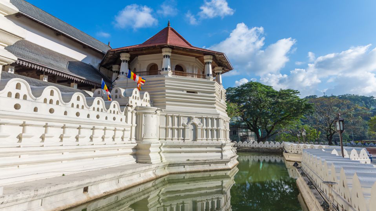 Millennium Elephant Foundation and Kandy Tour from Negombo