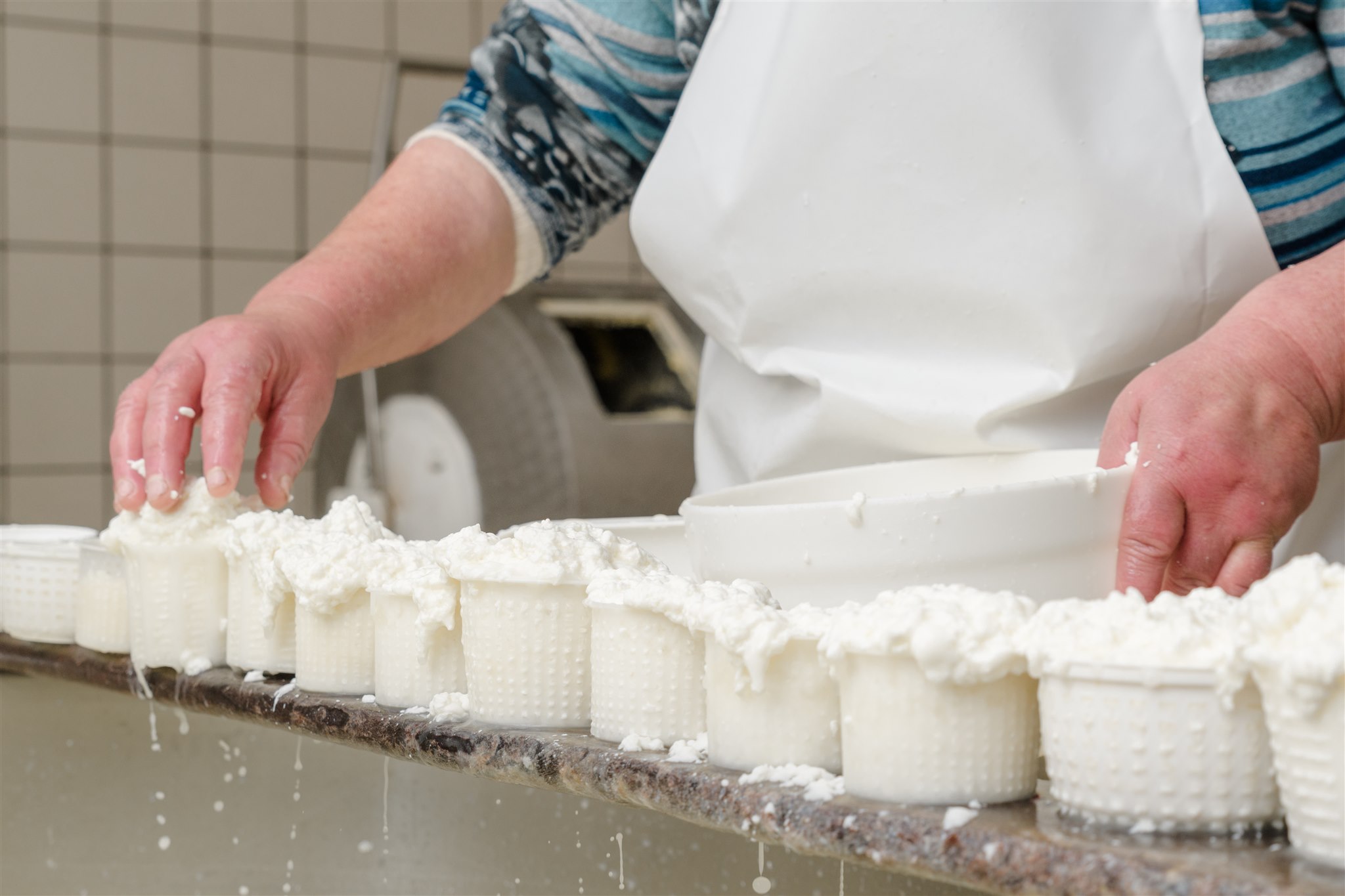 Sorrento: mozzarella cheese workshop at a dairy in Vico Equense - Photo 2