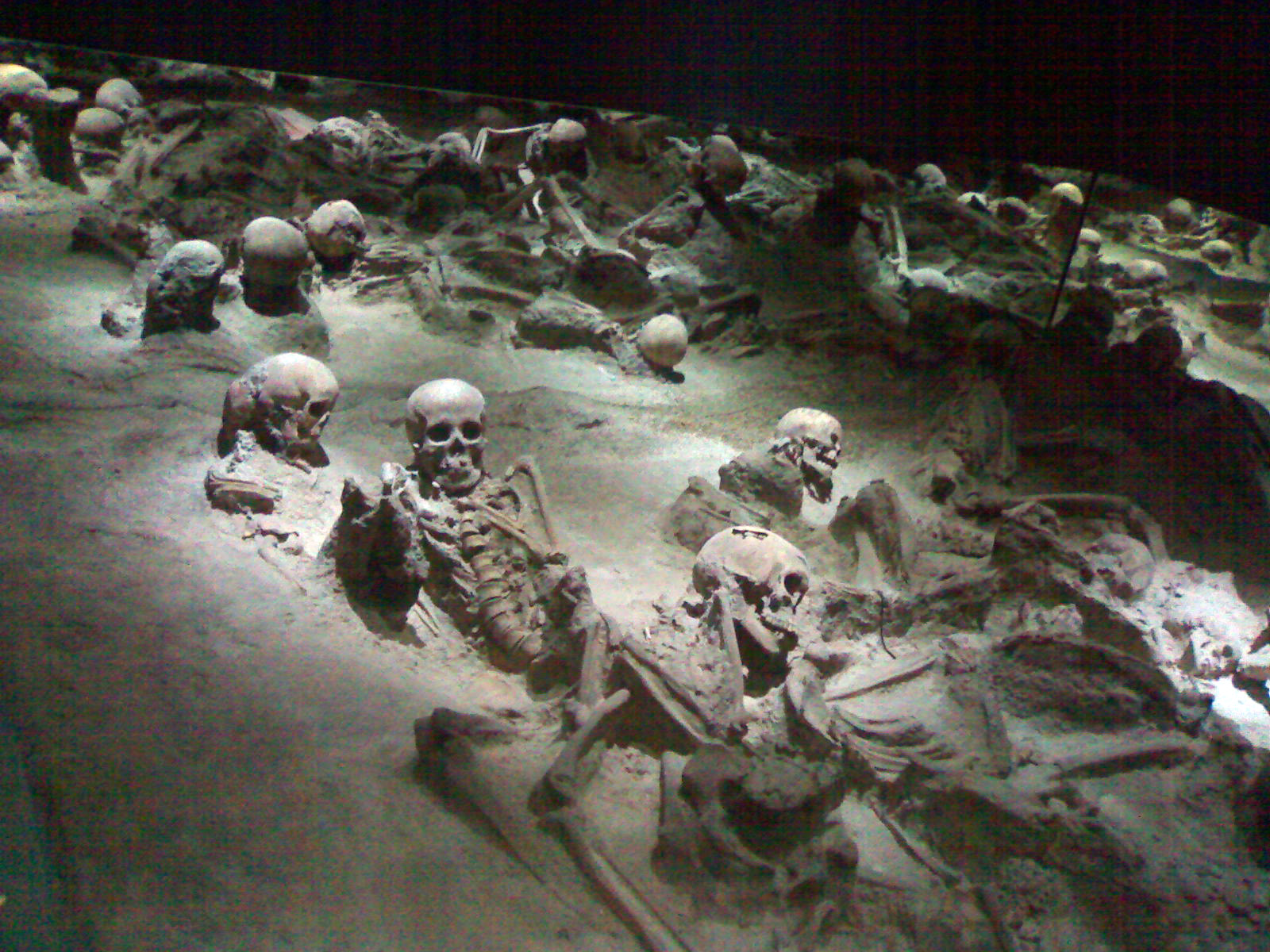 Heclulaneum daily tour - Photo 8