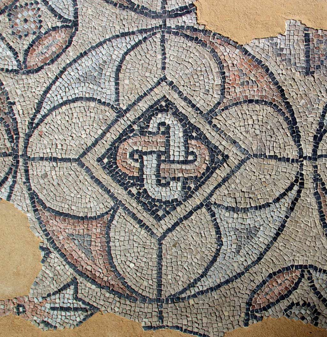 Ravenna: Visit the "Domus of Stone Mosaics" Archaeological Site - Photo 7