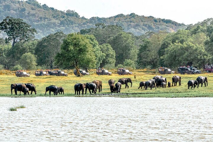 Wildlife and World Heritage Tour from Galle (2 Days)
