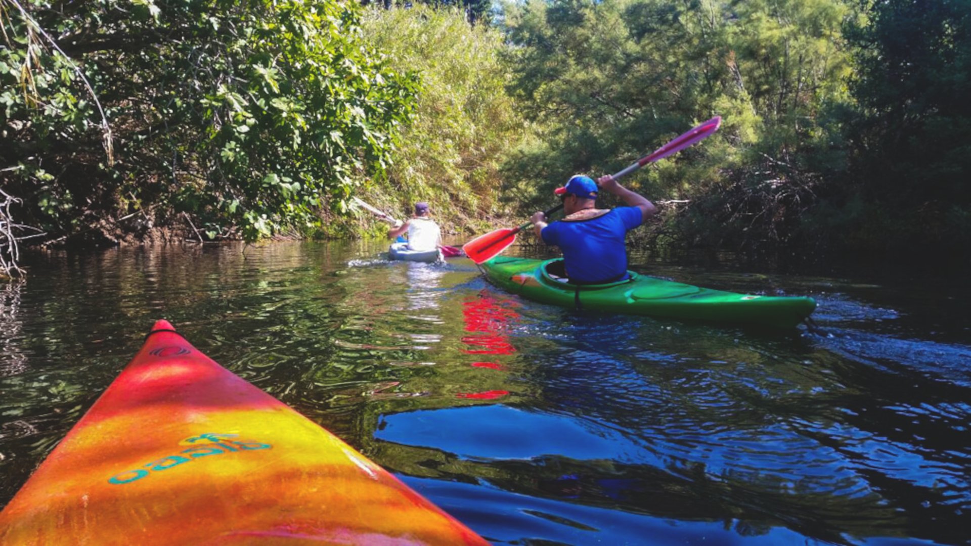 From Bosa: kayak rental on the river Temo - Photo 6