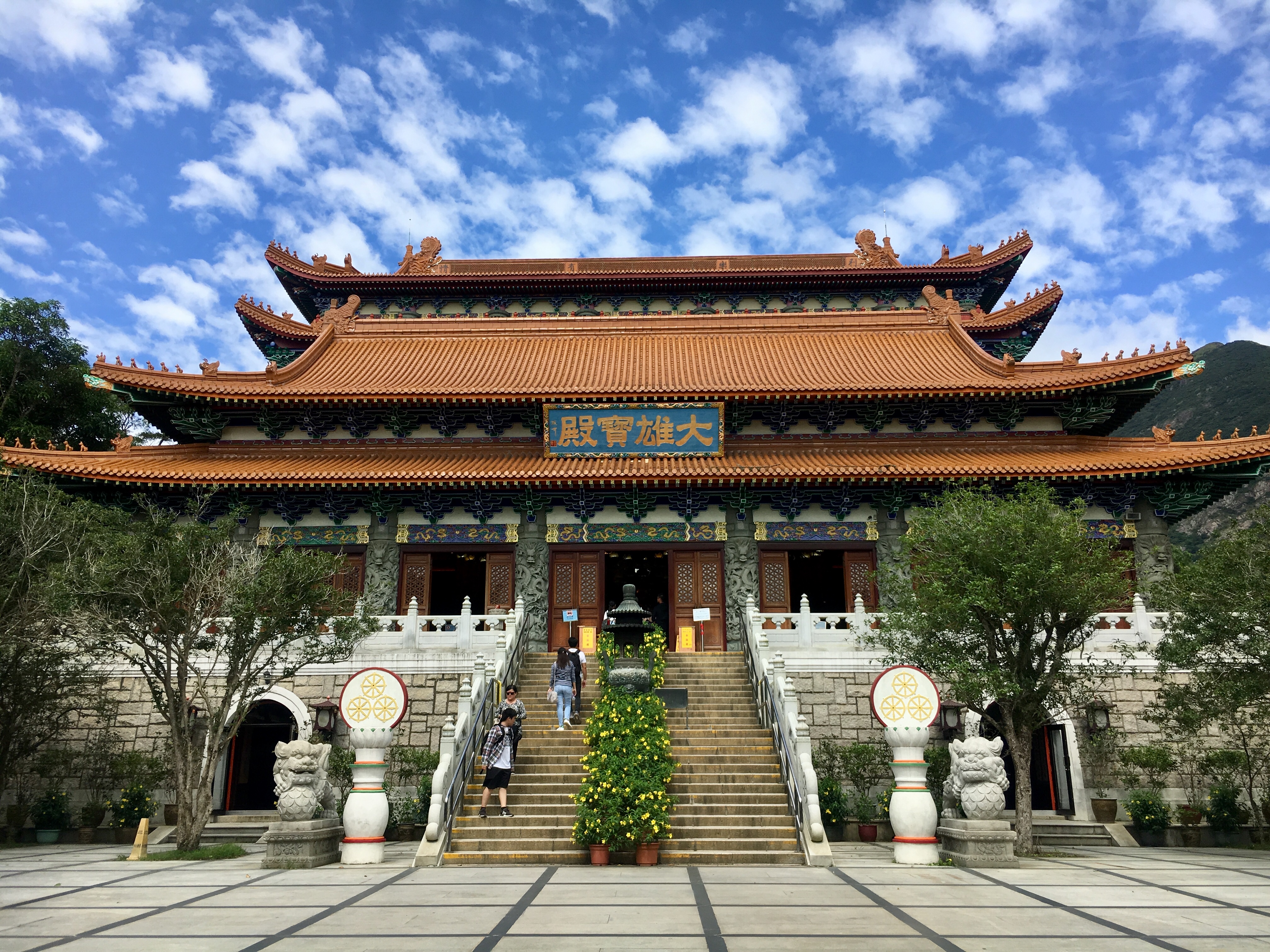 Cruise Layover Tour: Giant Buddha on Lantau Island in Private Service - Accommodations in Hong Kong