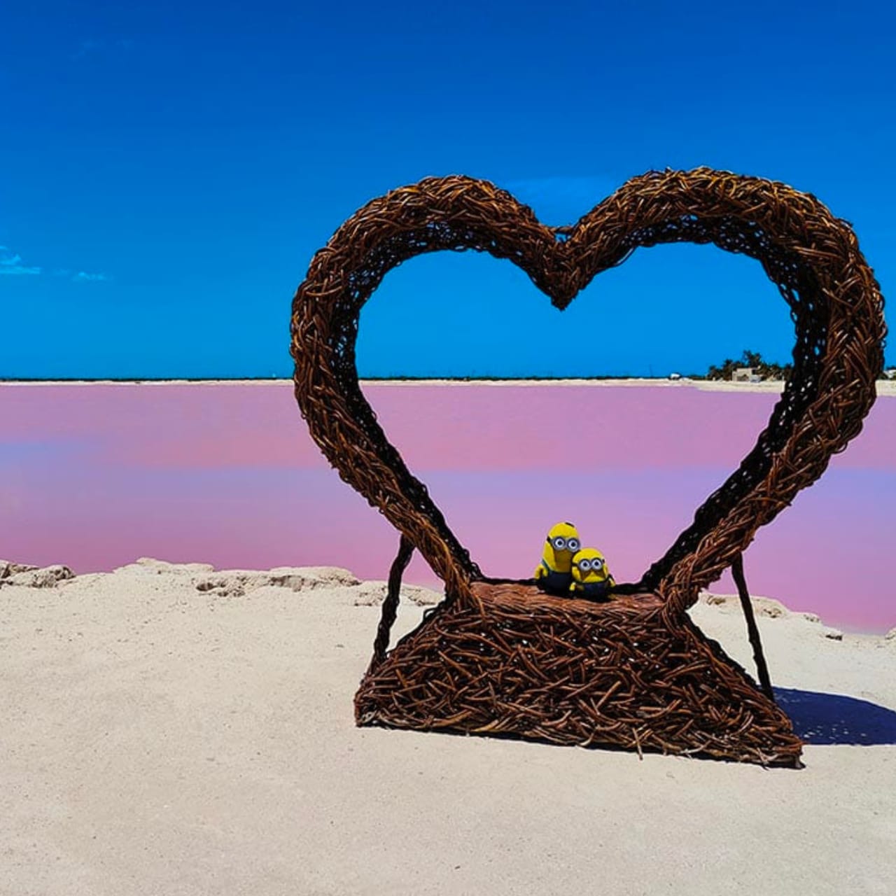 Excursion a las Coloradas y Río Lagartos — 14/17