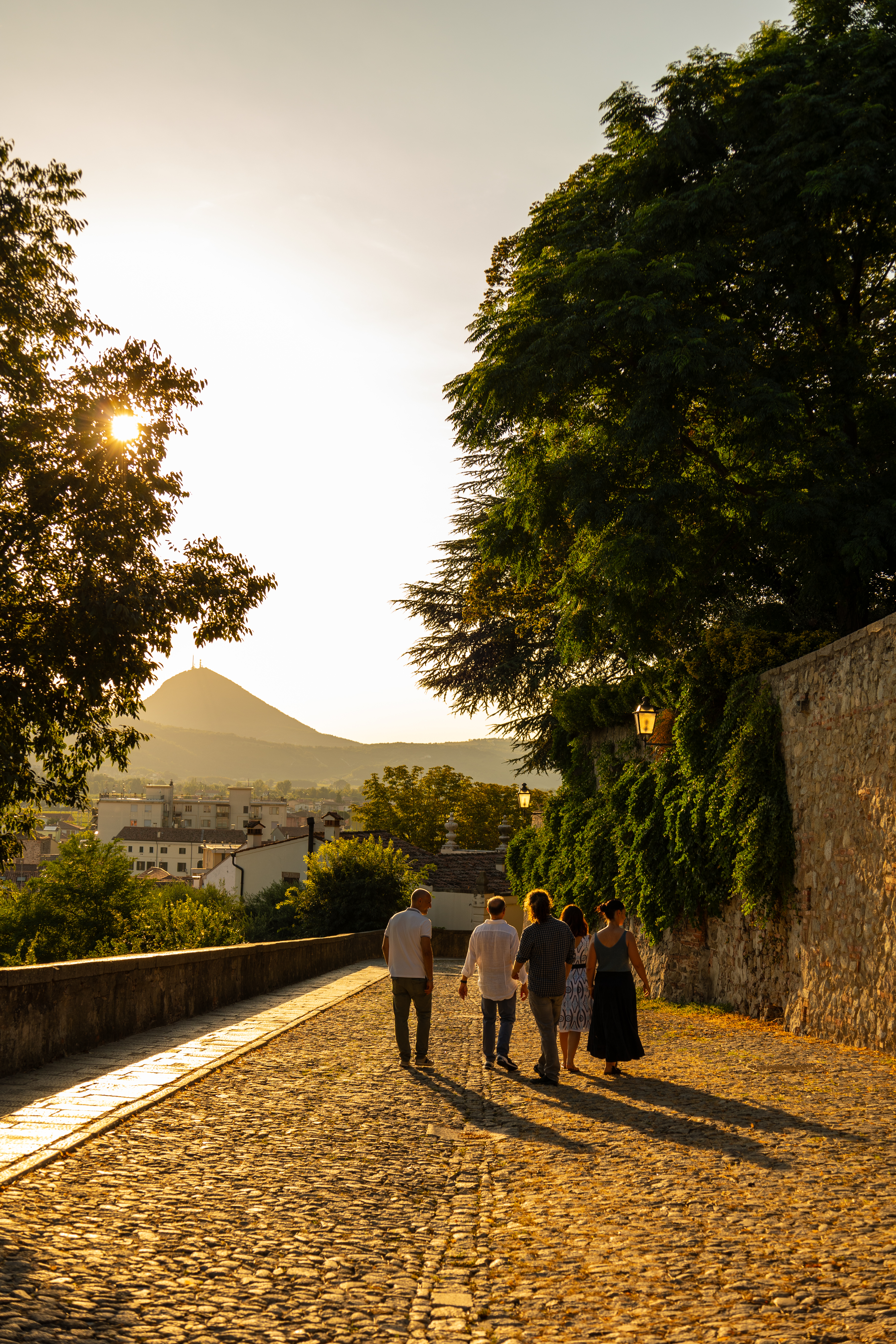 Tour to the walled city of Monselice - Photo 2