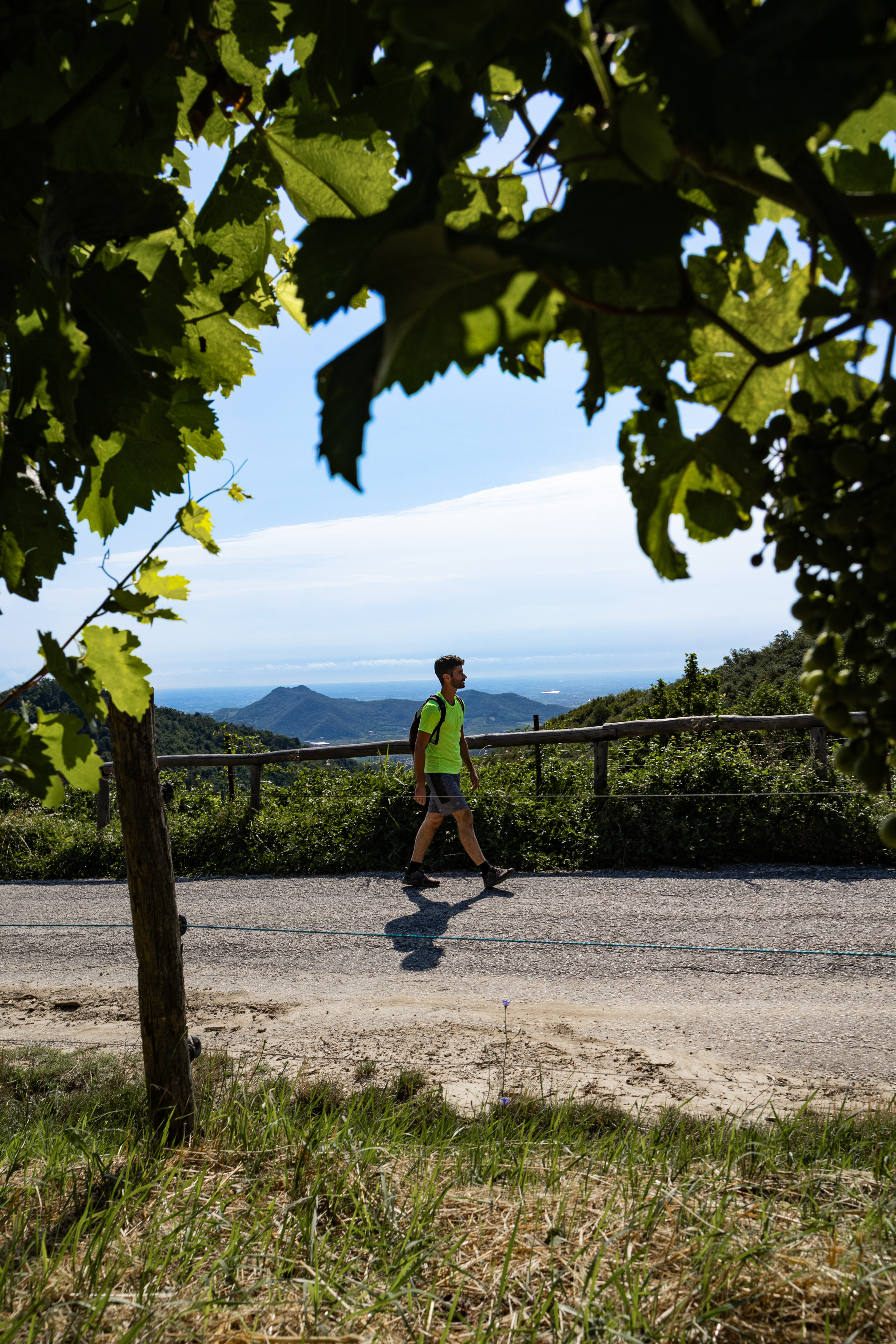  Hiking in the Euganean Hills - Photo 5