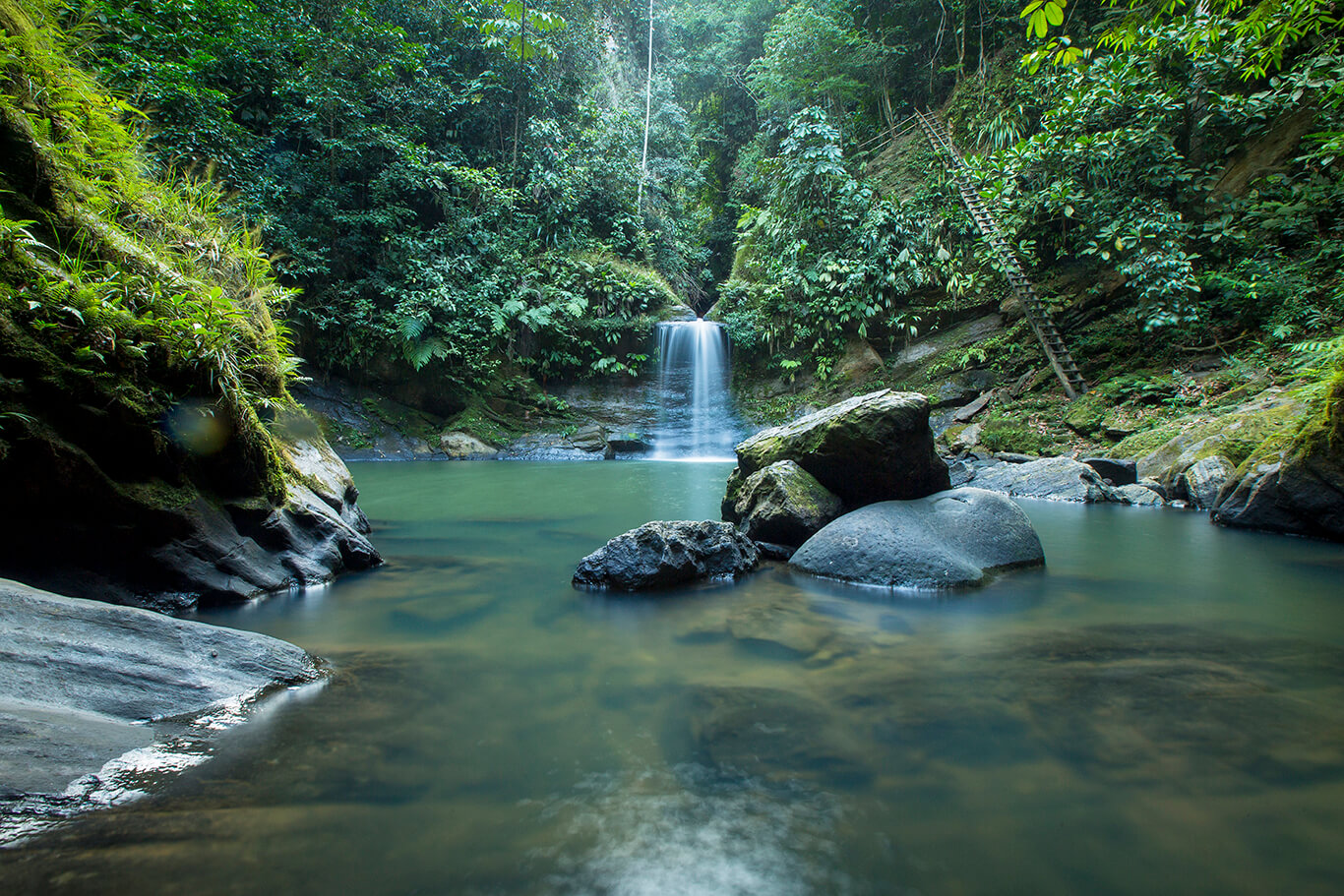 Tar-02: Paraíso de la Selva - Cascada Carpishuyacu y Baños Termales de San José