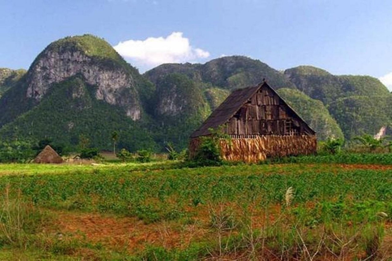Cuba: Lovely Journey to Viñales: From Tobacco to Prehistory, a Unique Cultural Experience from Pinar del Río to Havana - Photo 4