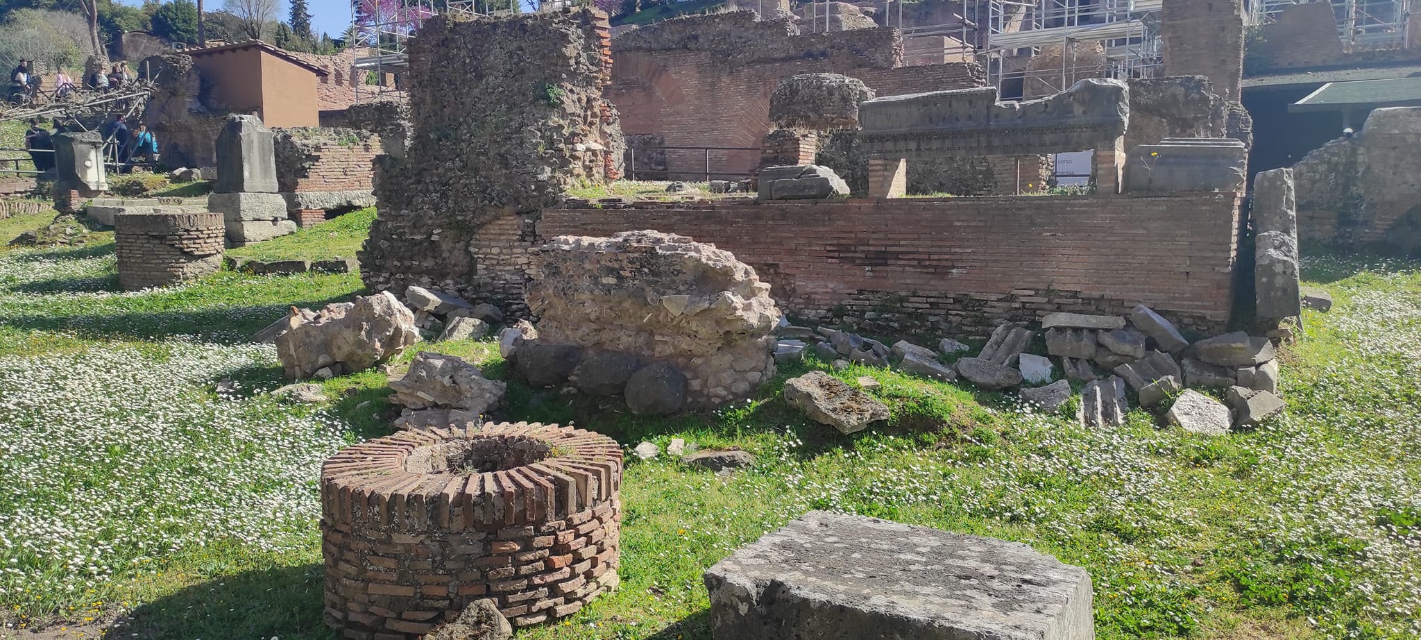 Private Tour: Colosseum and Ancient Rome  - Photo 25