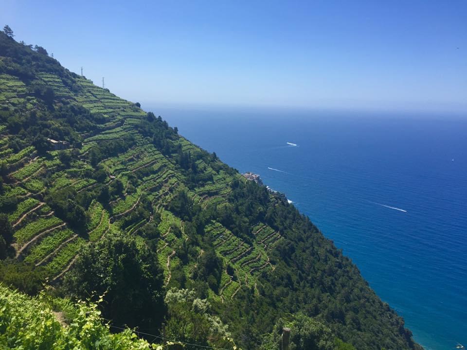 Cinque Terre Day Trip from Florence with Via dell’Amore Walk - Photo 4
