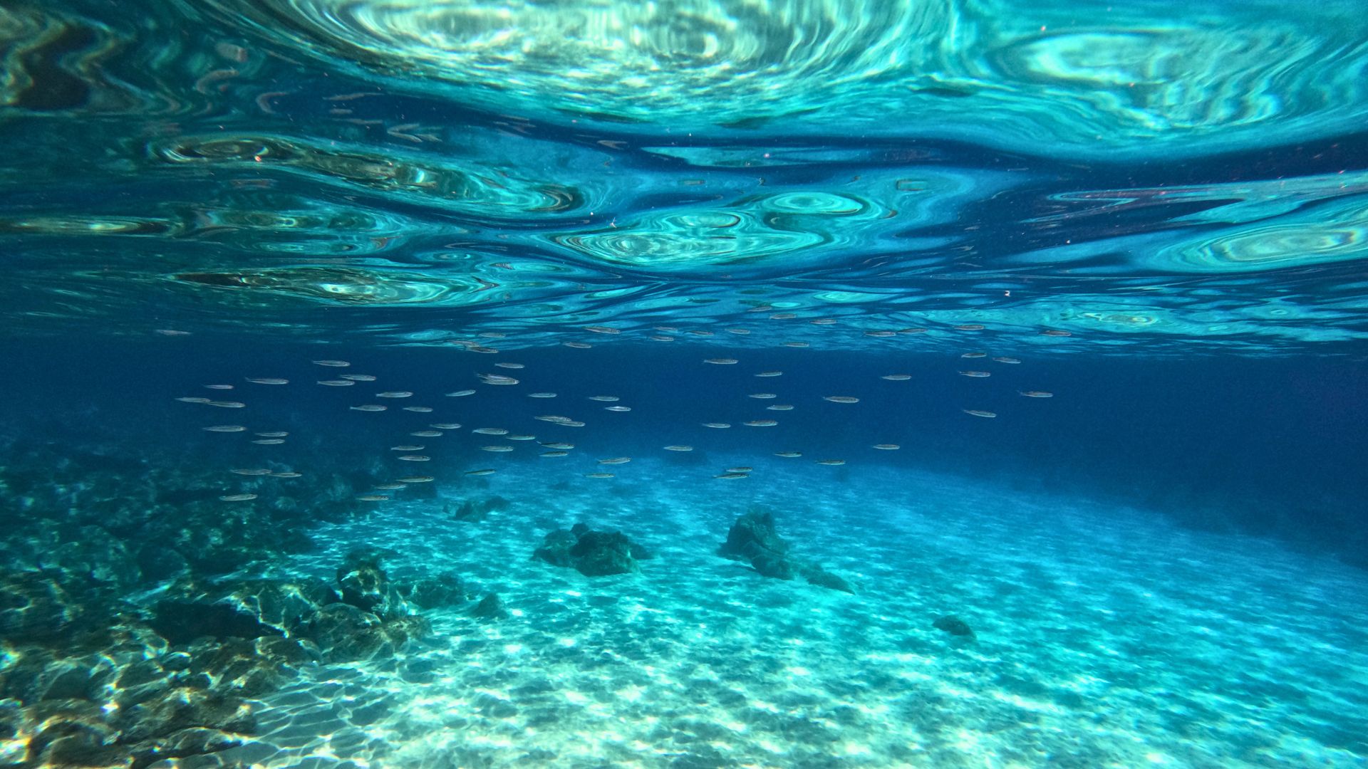 Cala Gonone: snorkeling in the Orosei Gulf - Photo 3