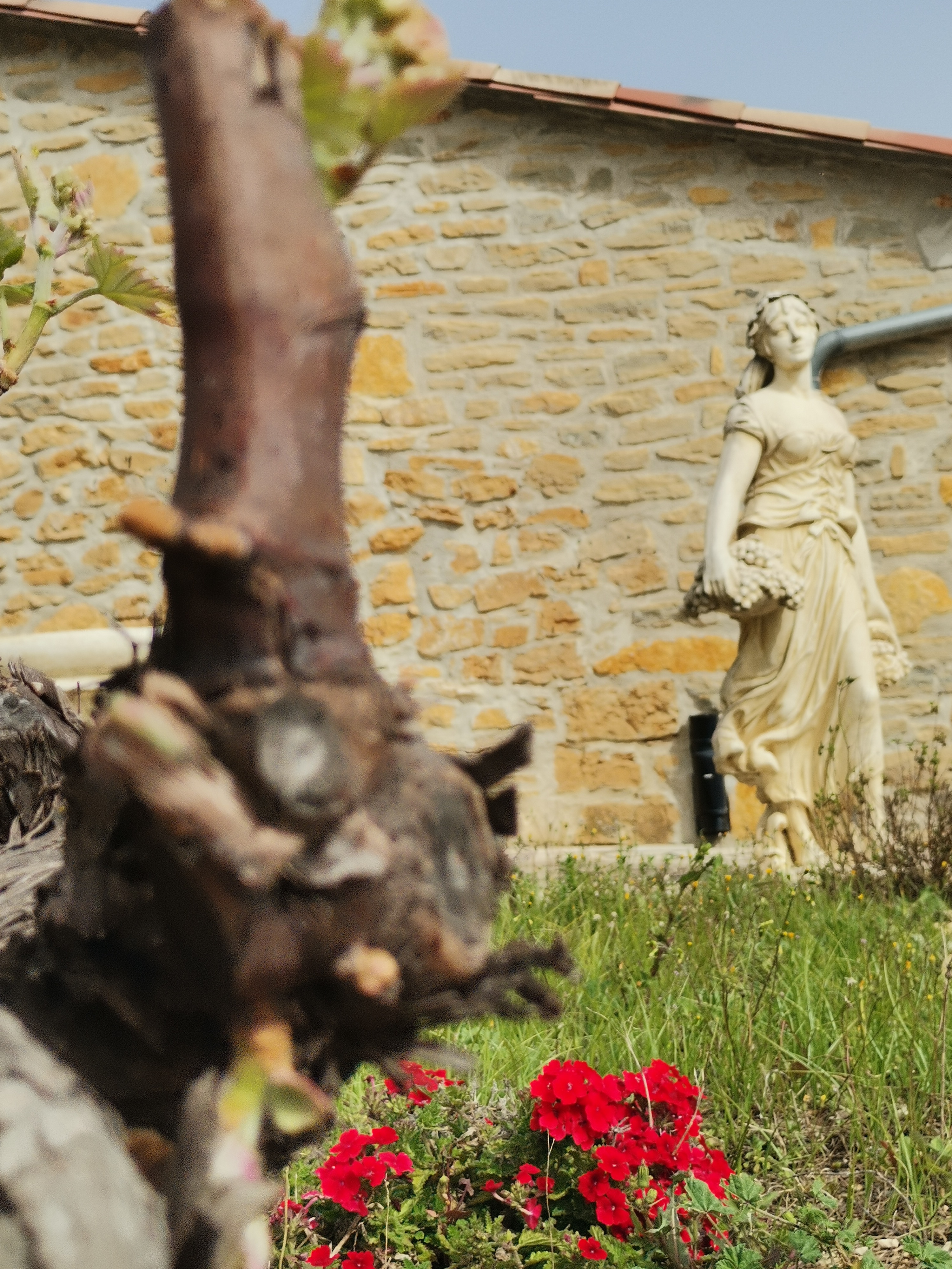 Provençal Picnic Tour - Photo 15