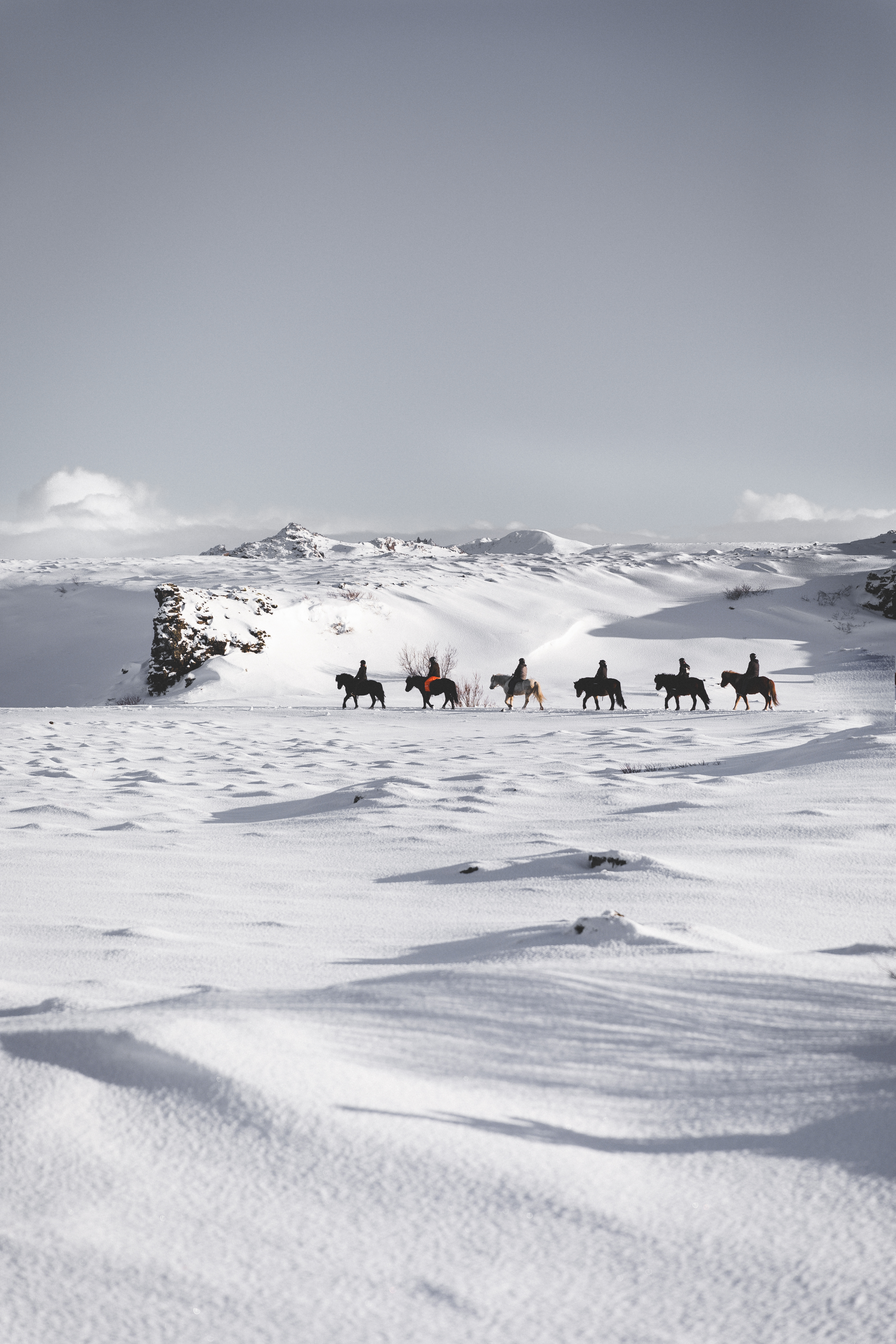 Whales & Horses - photo 7