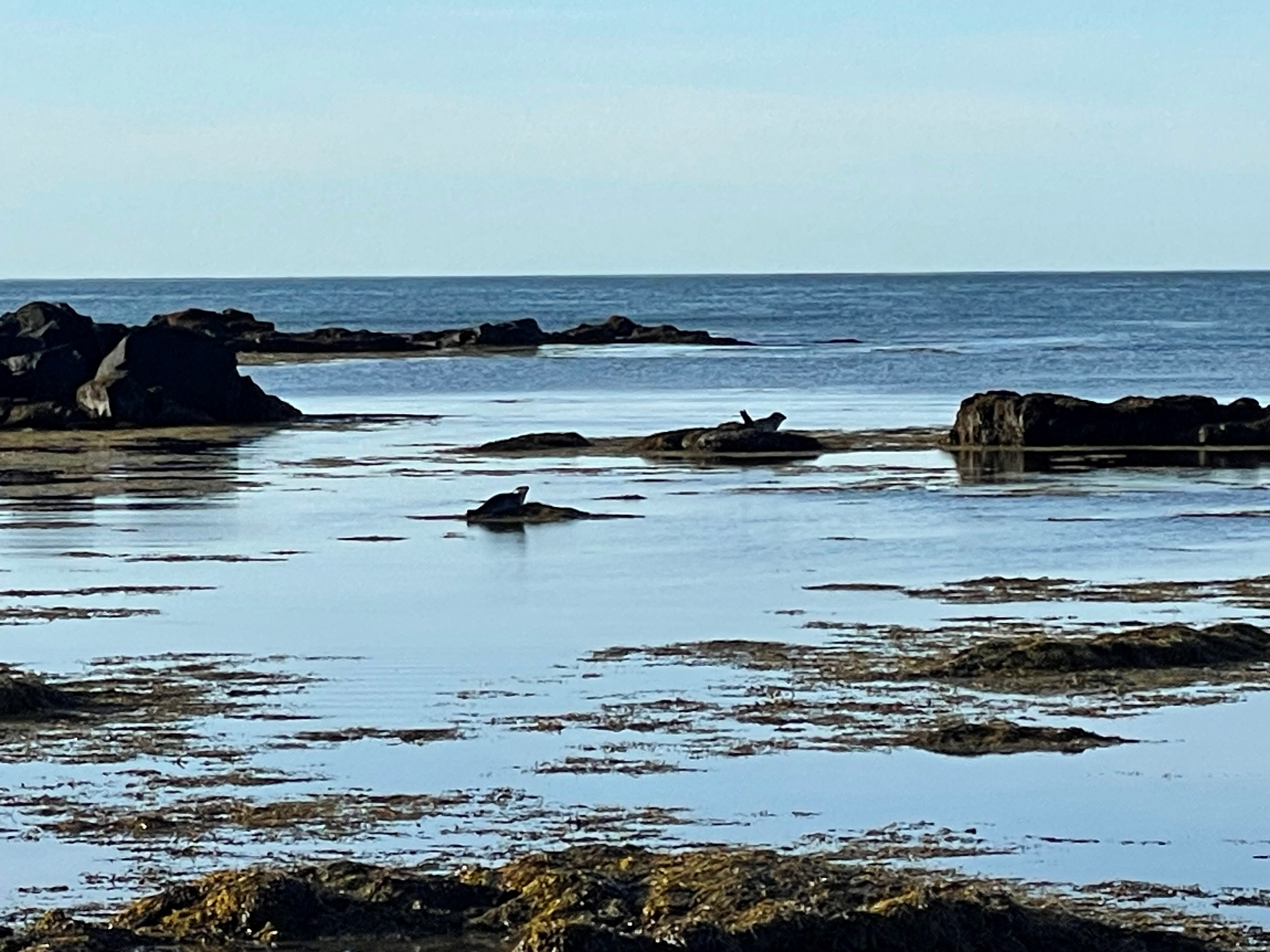 Private Snæfellsnes Peninsula - photo 5