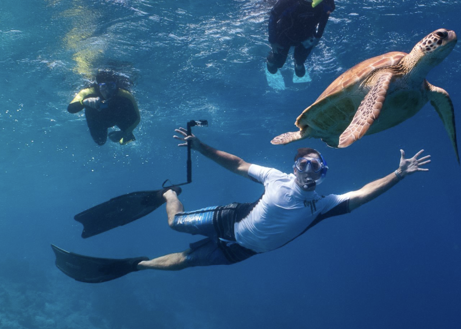 2-Stop Guided Snorkel Tour to Klein Bonaire — Cruise Ship Friendly