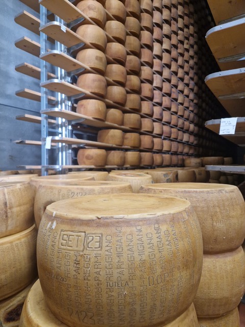 Emilia-Romagna's Typical products Tasting Tour from Parma 