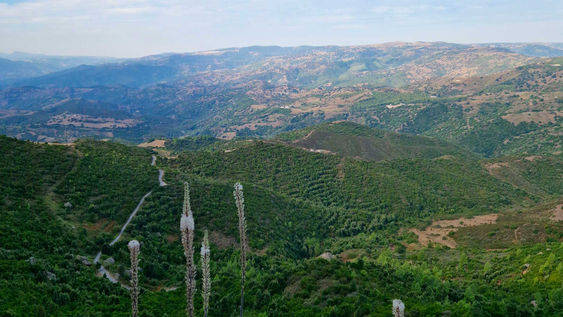 Lula: Montalbo hiking - Photo 8