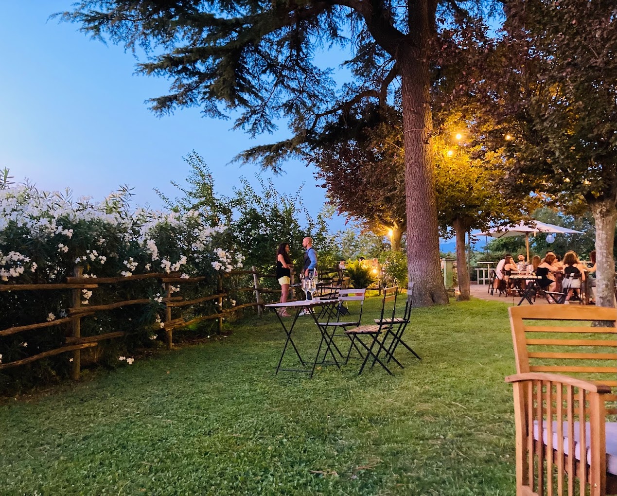 Frascati: 3-Hour Wine Tasting Experience with Lunch/Dinner - Photo 12